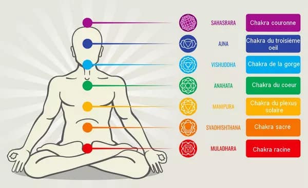 Planches des chakras principaux